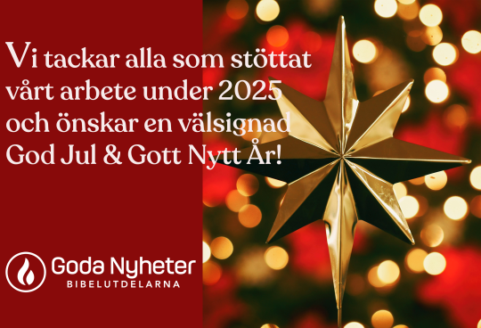 Välsignad God Jul och Gott Nytt År!